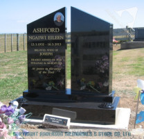Ashford21415
