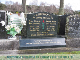 Brown22339