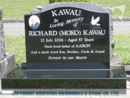Kawau21010